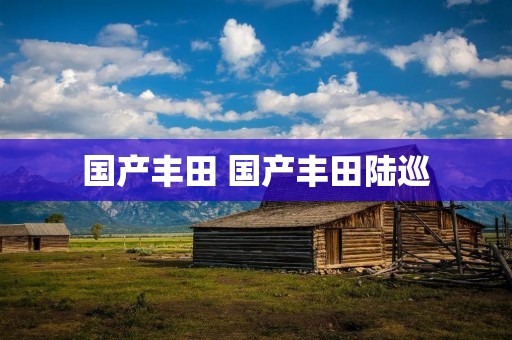 国产丰田 国产丰田陆巡 国产丰田 国产丰田陆巡