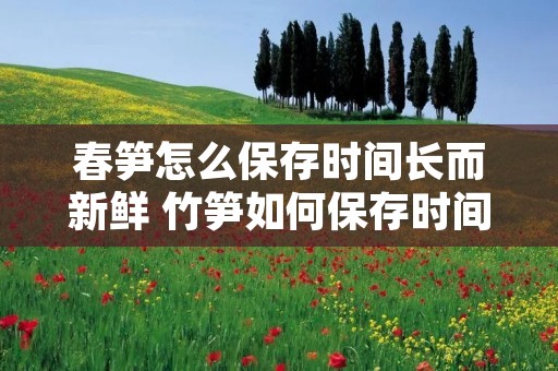 春笋怎么保存时间长而新鲜 竹笋如何保存时间长又新鲜 春笋怎么保存时间长而新鲜 竹笋如何保存时间长又新鲜
