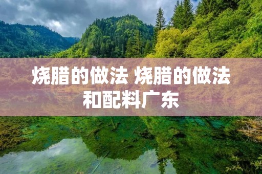 烧腊的做法 烧腊的做法和配料广东