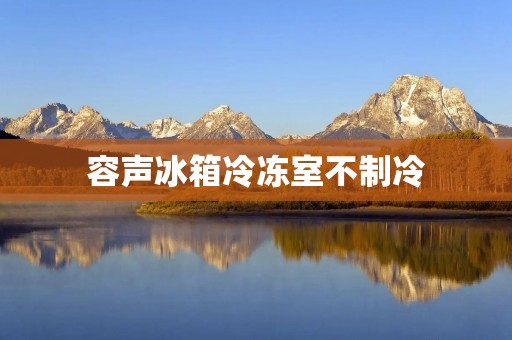 容声冰箱冷冻室不制冷：原因与解决方法
