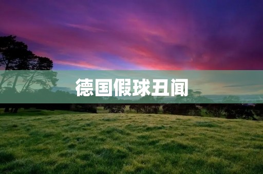 德国假球丑闻：足球世界的耻辱