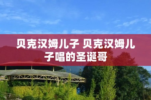 贝克汉姆儿子 贝克汉姆儿子唱的圣诞哥