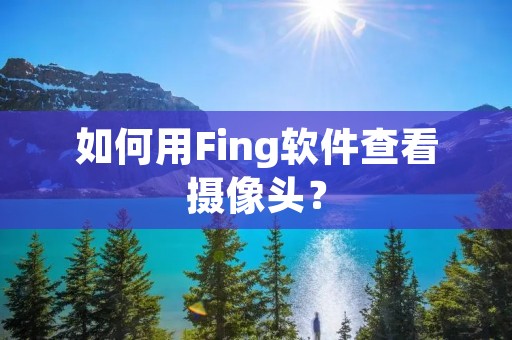 如何用Fing软件查看摄像头?
