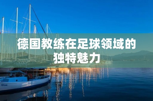 德国教练在足球领域的独特魅力