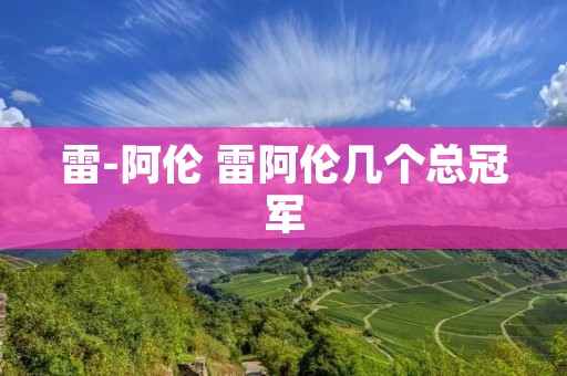 雷-阿伦 雷阿伦几个总冠军