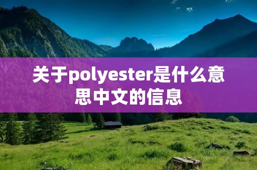 关于polyester是什么意思中文的信息
