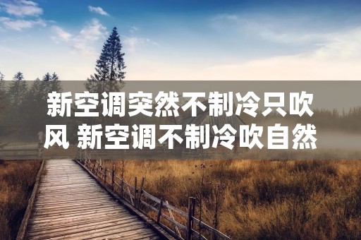 新空调突然不制冷只吹风 新空调不制冷吹自然风 新空调突然不制冷只吹风 新空调不制冷吹自然风