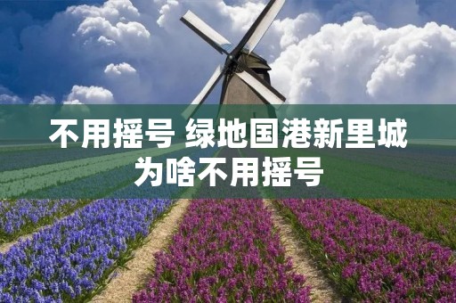 不用摇号 绿地国港新里城为啥不用摇号