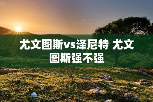 尤文图斯vs泽尼特 尤文图斯强不强