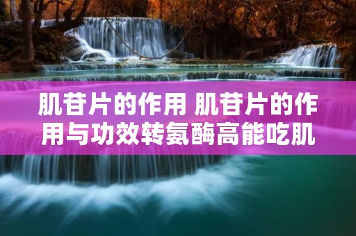 肌苷片的作用 肌苷片的作用与功效转氨酶高能吃肌苷片吗 肌苷片的作用 肌苷片的作用与功效转氨酶高能吃肌苷片吗