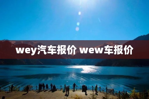 wey汽车报价 wew车报价