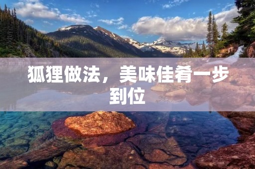 狐狸做法，美味佳肴一步到位