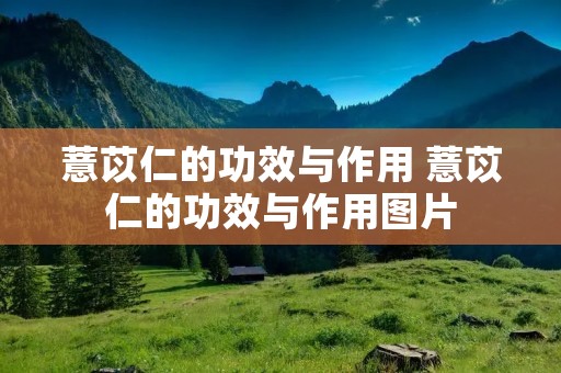 薏苡仁的功效与作用 薏苡仁的功效与作用图片