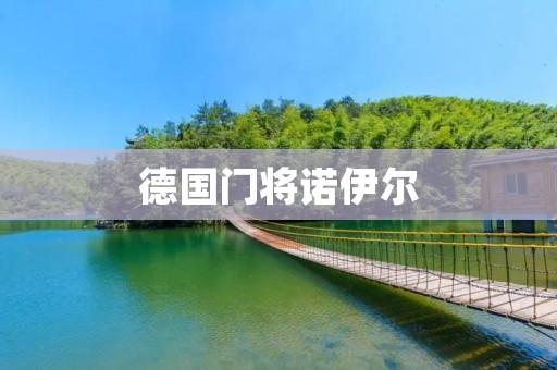 德国门将诺伊尔：足坛最出色的扑救**