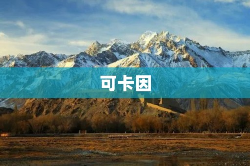 可卡因:一种致命的毒品