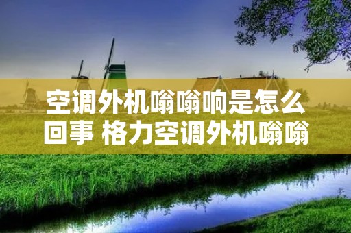 空调外机嗡嗡响是怎么回事 格力空调外机嗡嗡响是怎么回事 空调外机嗡嗡响是怎么回事 格力空调外机嗡嗡响是怎么回事