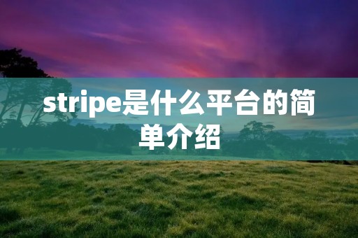 stripe是什么平台的简单介绍