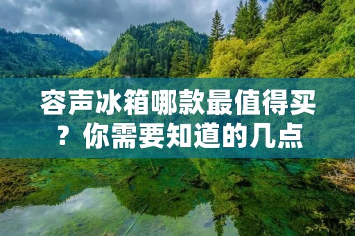 容声冰箱哪款最值得买?你需要知道的几点 容声冰箱哪款最值得买?你需要知道的几点