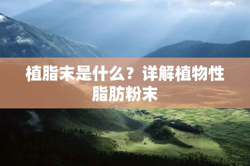 植脂末是什么?详解植物性脂肪粉末
