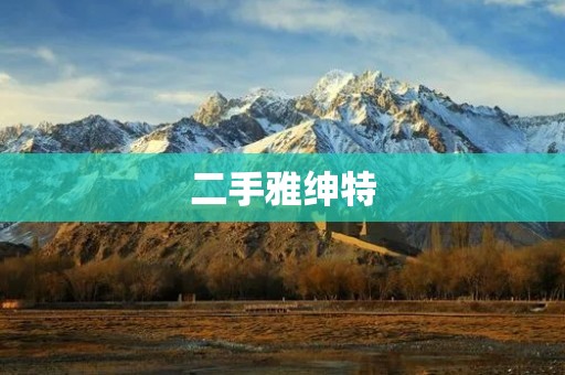 二手雅绅特:高品质驾驶体验的选择 二手雅绅特:高品质驾驶体验的选择