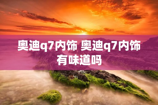 奥迪q7内饰 奥迪q7内饰有味道吗 奥迪q7内饰 奥迪q7内饰有味道吗