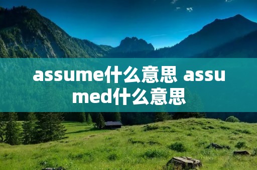 assume什么意思 assumed什么意思