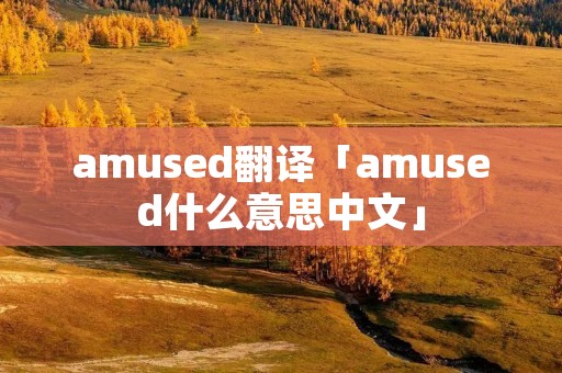 amused翻译「amused什么意思中文」 amused翻译「amused什么意思中文」