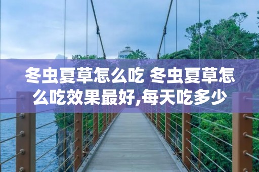 冬虫夏草怎么吃 冬虫夏草怎么吃效果最好,每天吃多少