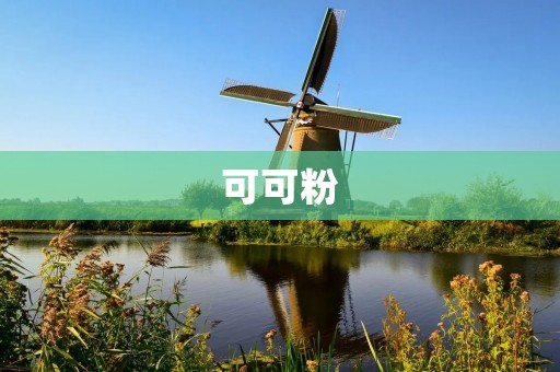 可可粉:让你感受到美味与健康的完美结合