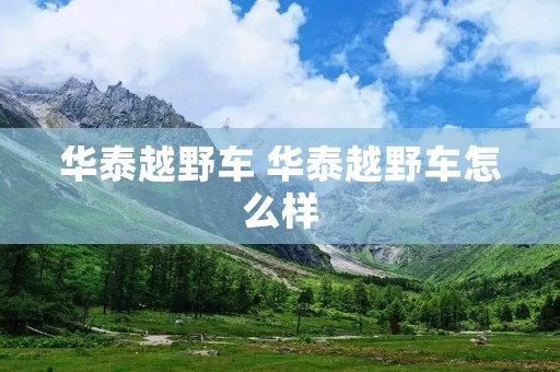 华泰越野车 华泰越野车怎么样