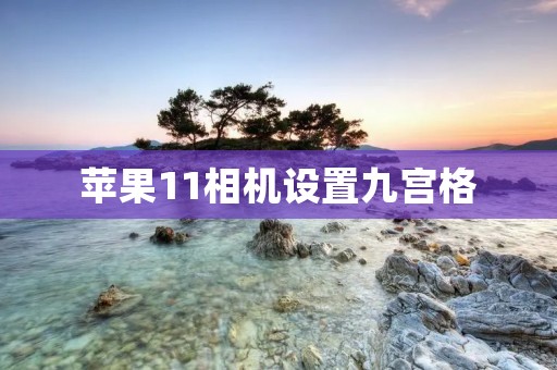 苹果11相机设置九宫格:如何拍出更好的照片?