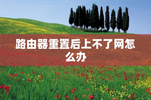 路由器重置后上不了网怎么办 路由器重置后上不了网怎么办