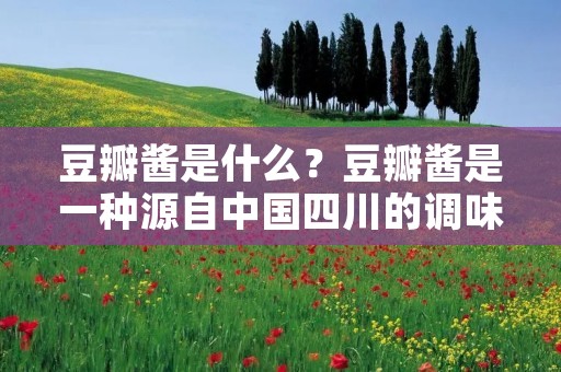 豆瓣酱是什么?豆瓣酱是一种源自中国四川的调味酱,主要由豆豉、辣椒、盐和其他调味品混合而成。豆瓣酱的味道非常浓郁,具有独特的辣味和咸味,是四川菜和其他中国菜肴的重要调味料之一。在中国,豆瓣酱被广泛应用于火锅、烤串、炒菜、煲汤等菜肴中,是中国美食文化不可或缺的一部分。