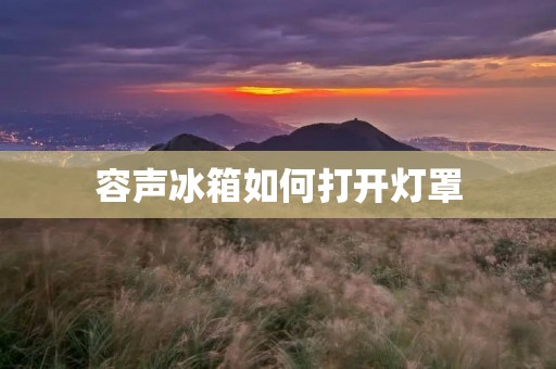 容声冰箱如何打开灯罩 容声冰箱如何打开灯罩