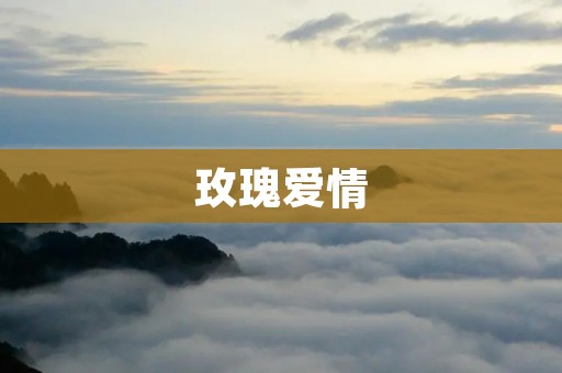 玫瑰爱情:如花般美丽的爱情