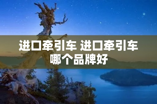 进口牵引车 进口牵引车哪个品牌好