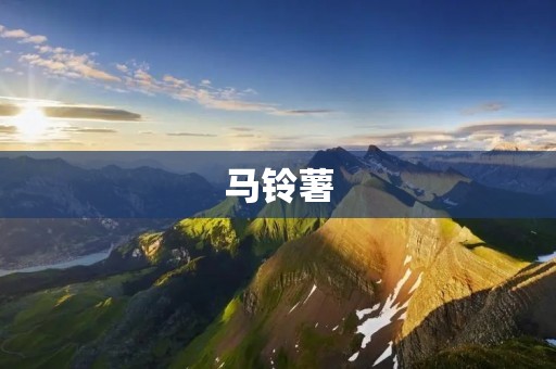 马铃薯:一种重要的全球性食物作物