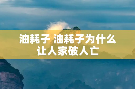 油耗子 油耗子为什么让人家破人亡