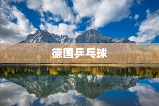 德国乒乓球:探究德国乒乓球的历史、现状和未来 德国乒乓球:探究德国乒乓球的历史、现状和未来
