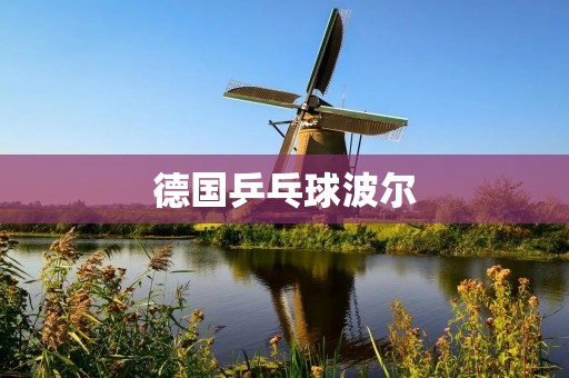 德国乒乓球波尔:一位传奇运动员的成长历程 德国乒乓球波尔:一位传奇运动员的成长历程