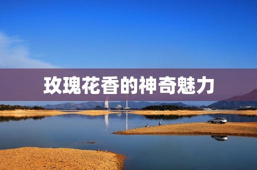 玫瑰花香的神奇魅力
