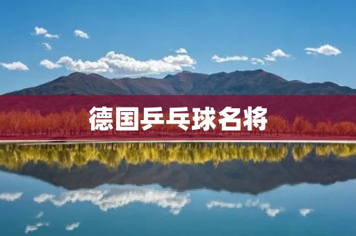 德国乒乓球名将:提姆-波尔 德国乒乓球名将:提姆-波尔
