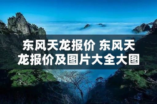 东风天龙报价 东风天龙报价及图片大全大图