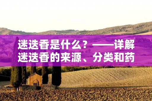 迷迭香是什么?——详解迷迭香的来源、分类和药用功效