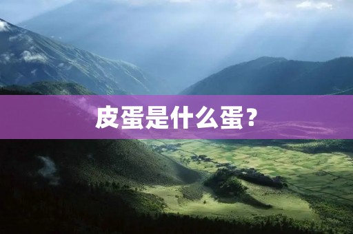 皮蛋是什么蛋?
