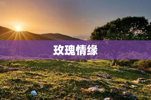 玫瑰情缘:从花海中绽放的美丽爱情故事