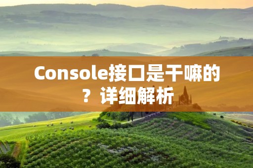 Console接口是干嘛的?详细解析