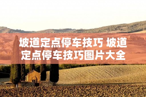 坡道定点停车技巧 坡道定点停车技巧图片大全