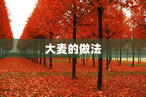 大麦的做法:营养美味的大麦如何烹制? 大麦的做法:营养美味的大麦如何烹制?