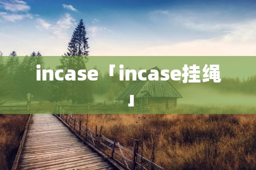 incase「incase挂绳」